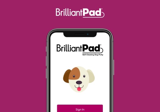 BrilliantPad