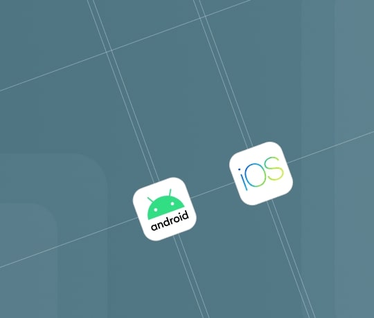Native App Development